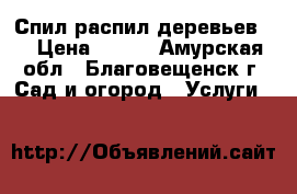 Спил распил деревьев.  › Цена ­ 500 - Амурская обл., Благовещенск г. Сад и огород » Услуги   